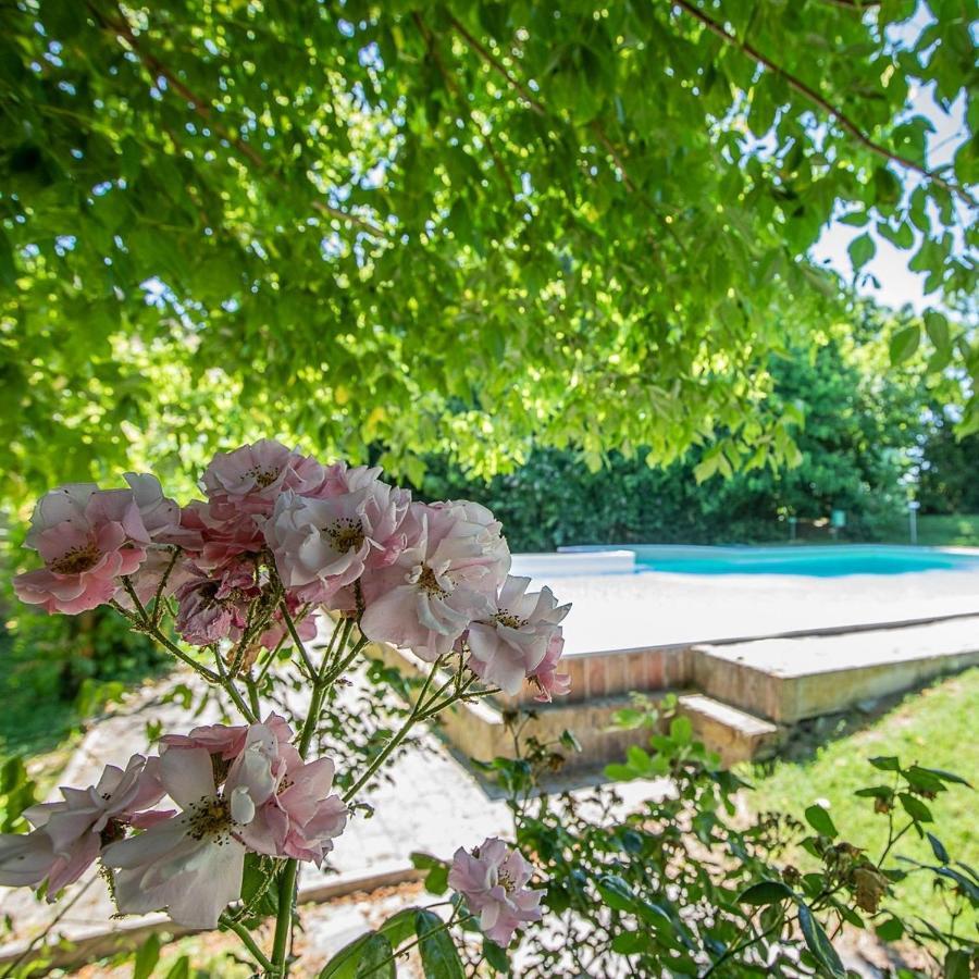 Borgo Del Nibbio Apartment Porto Levante Luaran gambar